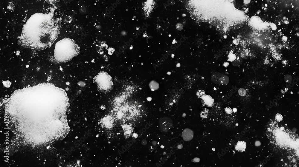 Poster macro texture of snowflakes on black background for winter design