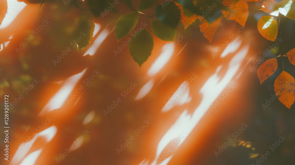 Poster bright maple leaf texture with soft sunlight and shadow play