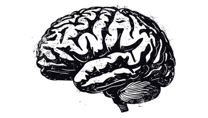 Human brain vector stencil stamp, retro illustration, distressed grunge texture, isolated, transparent background, vintage design, creative graphics, artistic brain symbol,