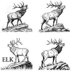 vector hand-drawn-illustration of an Elk stand on stone  
