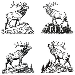 vector hand-drawn-illustration of an Elk stand on stone  