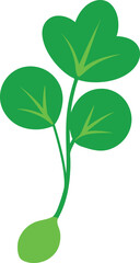Watercress vector illustration