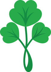 Watercress vector illustration