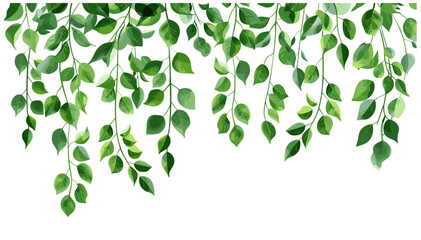 Minimalist Green Branches, Hanging Branches, Vector Design, Simple Greenery, Nature Elements, Botanical Illustration, Elegant Green Leaves, Fresh Green Background,