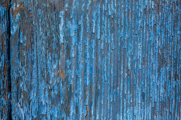 Wood texture