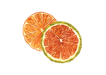 Two dried Orange fruit slices watercolor illustration isolated background. Citrus ingredients for mulled wine or alcohol free drink decor. Package of cosmetic or food. Natural Christmas decoration