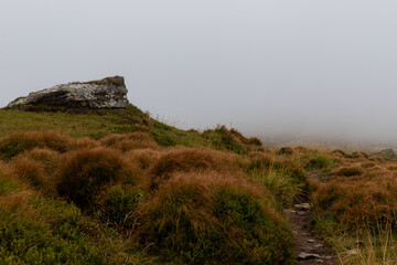 a path in thick fog among round yellowed bushes, a stone cliff on the edge