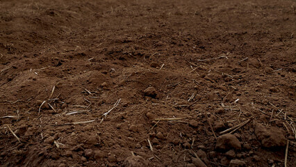View of brown soil texture background pattern. Farmer cultivation scene. Agriculture or nature conservation concept. Planting trees or plants and garden.