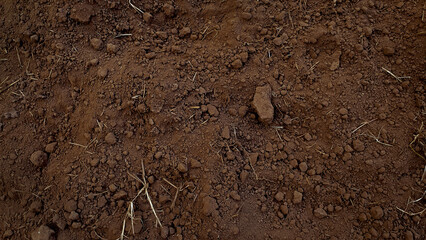 Top view of brown soil texture background pattern. Farmer cultivation scene. Agriculture or nature...