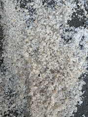 Closeup on rock salt on sidewalk applied to melt ice and snow
