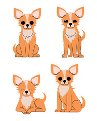 Set of Cute Long Haired Chihuahua Dog Poses Sitting, Standing, Lying, and Relaxing Expressions Adorable Small Dog Breed, Flat Minimalist Vector Illustration on White Background. Vector illustration
