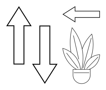 Large arrows pointing in different directions next to a potted plant with leaves. Ideal for navigation, choices, growth, decisions, progress, direction, strategy. Minimalist black and white