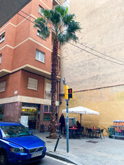 Fototapeta premium City street corner with palm tree, urban life in Mediterranean, casual outdoor cafe setting