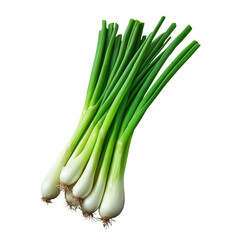 Fresh green onions PNG