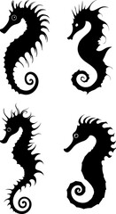 seahorse illustration silhouette