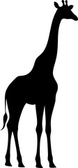 giraffe illustration silhouette