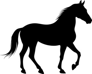 horse illustration silhouette © TrappedMorghulis