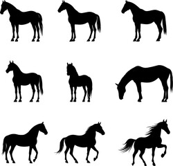 horse illustration silhouette