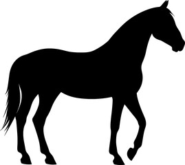 horse illustration silhouette