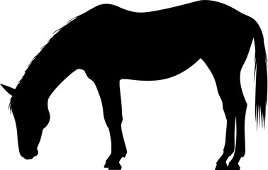 horse illustration silhouette