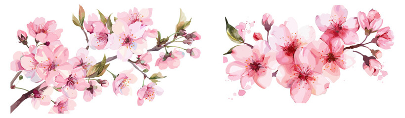 Pink Watercolor Cherry Blossoms vector, floral design, spring background, delicate pink flowers, watercolor art, blossom branch, nature vector, botanical illustration, soft pink hues © aura studio