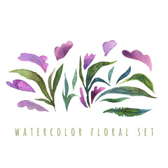 Watercolor isolated peony flowers