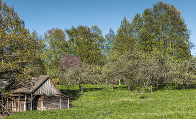 A serene countryside setting featuring a rustic wooden barn