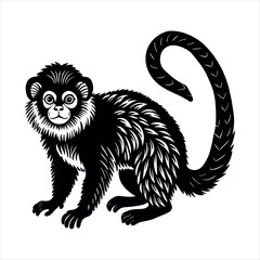 Red-Handed Tamarin Mammal Animal