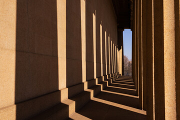 Flowers in the garden of Nashville