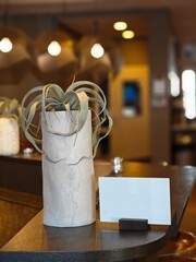 Elegant indoor setting features a stylish plant arrangement near a blank menu board in a cozy restaurant atmosphere