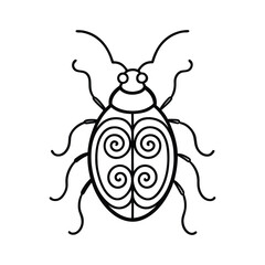 beetle formed with spiral patterns 