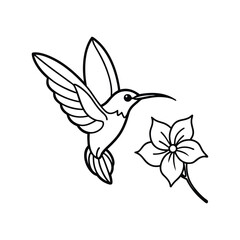 hummingbird with tropical flowers