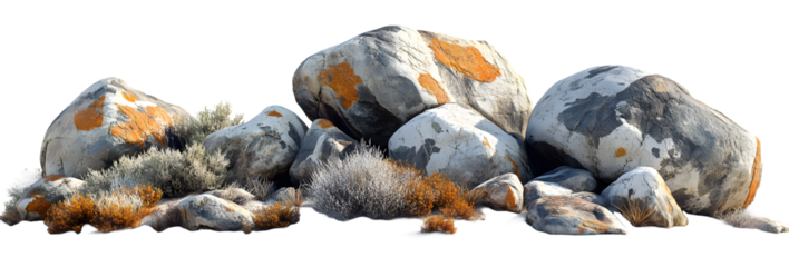 A rugged coastal rock formation, weathered and sun-kissed, showcasing the resilience of nature against a bright white background.