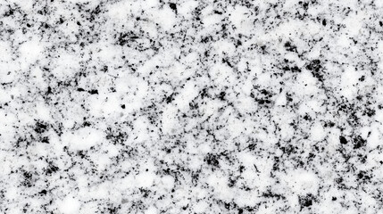 Obraz premium Salt and Pepper granite texture with black and white speckled pattern