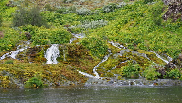 OLYMPUS DIGITAL CAMERA - Powered by Adobe