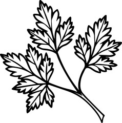 Line art of coriander leaves vector illustration