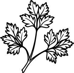 Line art of coriander leaves vector illustration