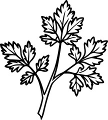 Line art of coriander leaves vector illustration