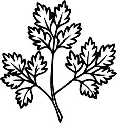 Line art of coriander leaves vector illustration