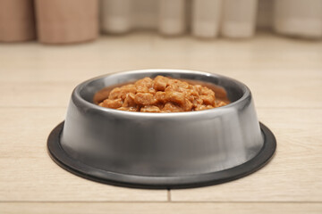 Wet pet food in feeding bowl on floor indoors