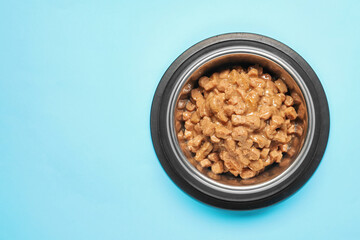 Wet pet food in feeding bowl on light blue background, top view Space for text