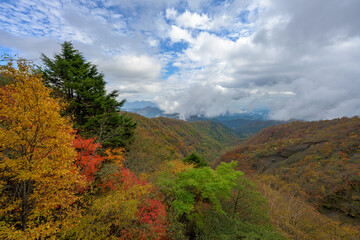 雄大な紅葉の山々 – 自然が創る美しい秋の景色
