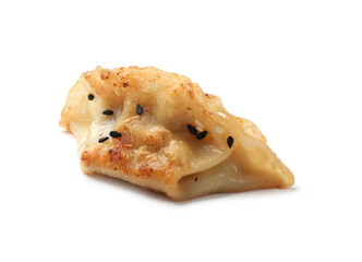 One fried gyoza dumpling isolated on white