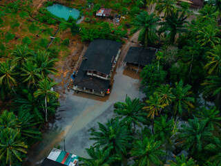 Aerial view of flooded rural houses and lush palm trees in phang nga, thailand