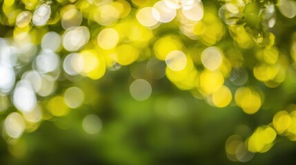 Obraz premium Abstract green blurred background with soft gradients and light effects, modern, backdrop. 