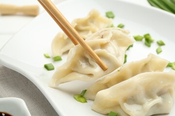 Taking tasty gyoza (dumpling) with chopsticks at table, closeup