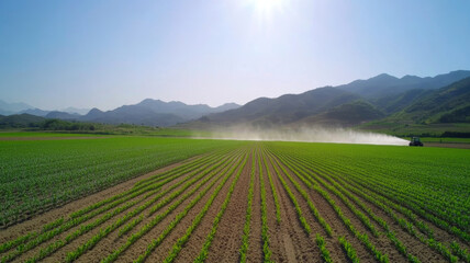 Fisheye view of a tractor spraying water or fertilizer on crops in an agricultural field, creating a mist against a backdrop of mountains and sunlight