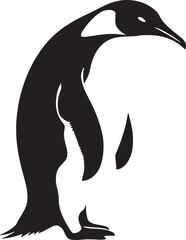 vector illustration of a penguin