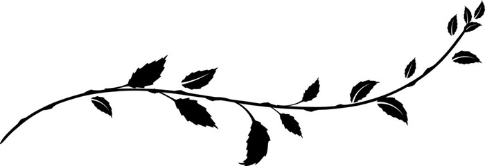 Decorative Swirls and Leaves Branch Black silhouette 