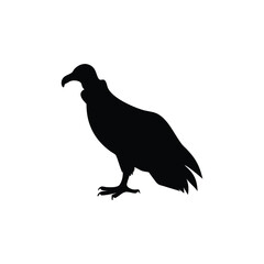 Obraz premium Vulture Silhouette Vector - Bird of Prey Clipart for Wildlife Designs